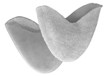 Pillows for Pointes Lambs Wool Toe Pad – SF Dance Gear